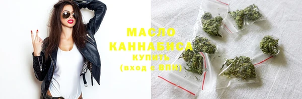 эйфоретик Ельня