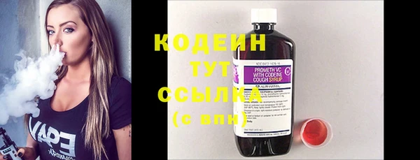 эйфоретик Ельня