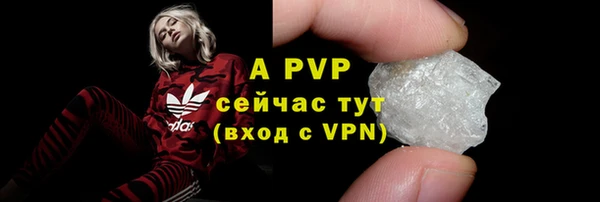 эйфоретик Ельня