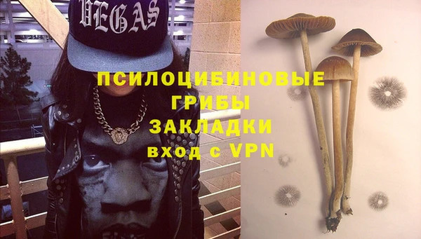 эйфоретик Ельня