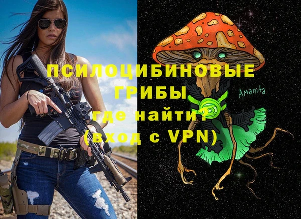 эйфоретик Ельня