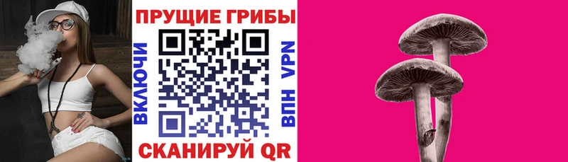 Галлюциногенные грибы Psilocybe Старый Крым